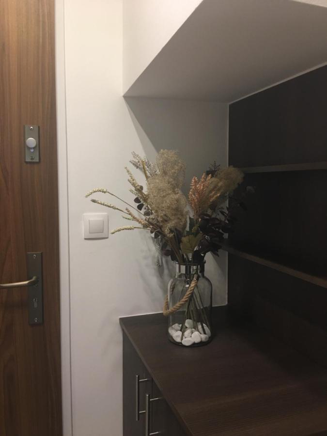 Home Apartment Sopron Bagian luar foto